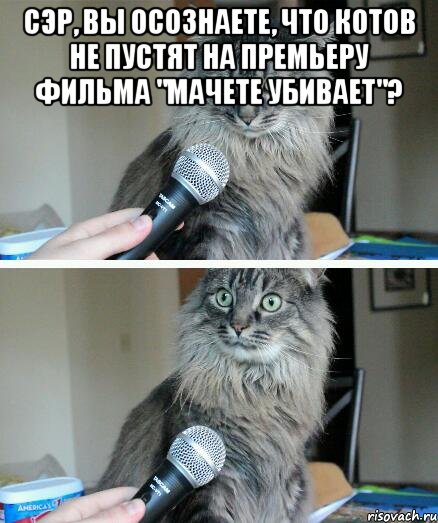 сэр, вы осознаете, что котов не пустят на премьеру фильма "мачете убивает"? , Комикс  кот с микрофоном