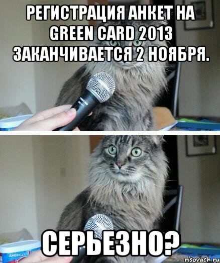 регистрация анкет на green card 2013 заканчивается 2 ноября. серьезно?, Комикс  кот с микрофоном