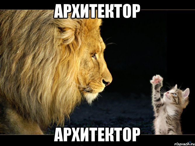 архитектор архитектор