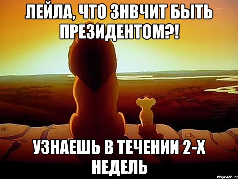 лейла, что знвчит быть президентом?! узнаешь в течении 2-х недель, Мем  король лев