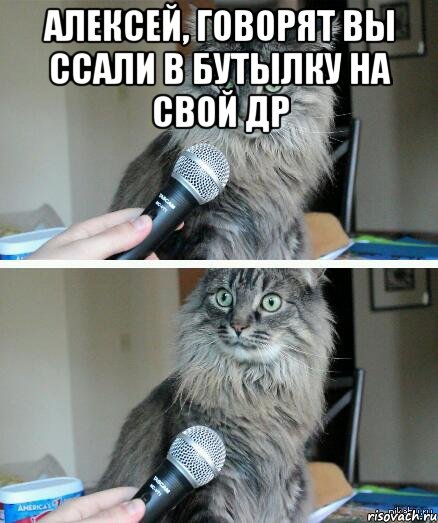 алексей, говорят вы ссали в бутылку на свой др , Комикс  кот с микрофоном