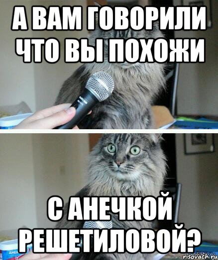 а вам говорили что вы похожи с анечкой решетиловой?, Комикс  кот с микрофоном