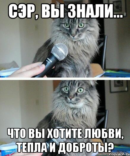 сэр, вы знали... что вы хотите любви, тепла и доброты?, Комикс  кот с микрофоном