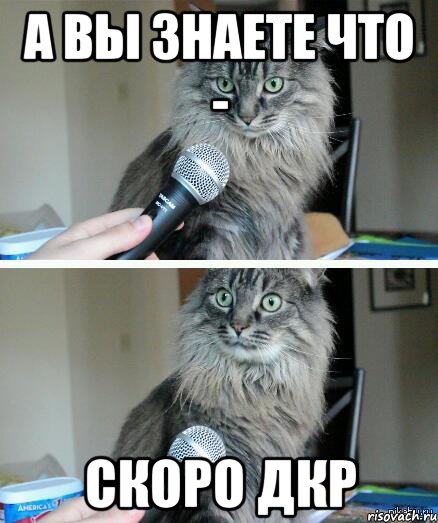 а вы знаете что - скоро дкр, Комикс  кот с микрофоном