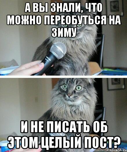 а вы знали, что можно переобуться на зиму и не писать об этом целый пост?, Комикс  кот с микрофоном