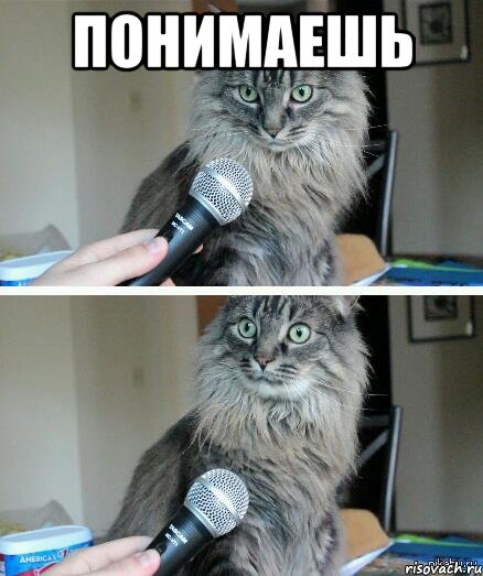 понимаешь , Комикс  кот с микрофоном