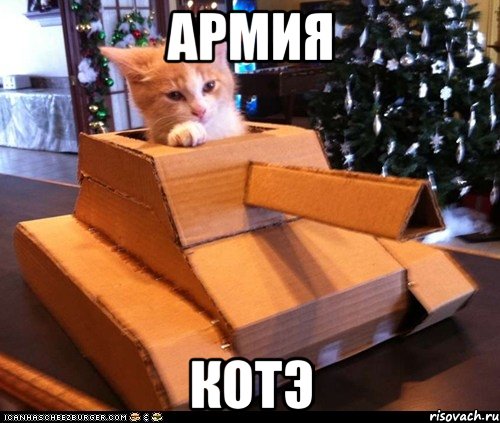 армия котэ