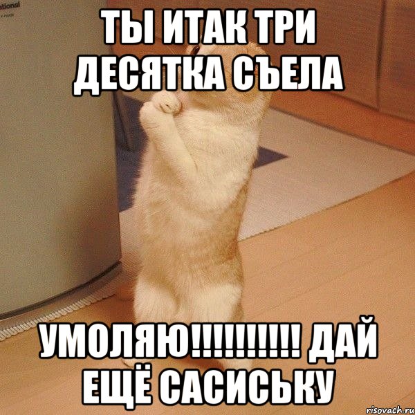 ты итак три десятка съела умоляю!!! дай ещё сасиську, Мем  котэ молится