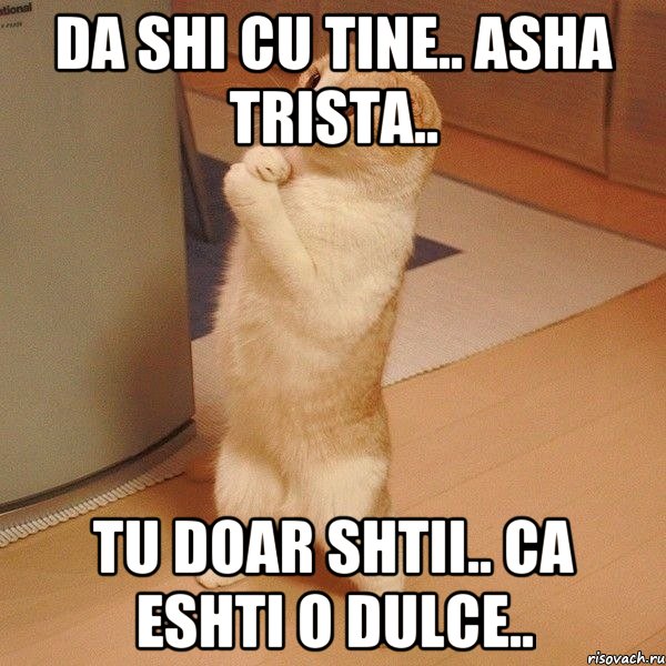 da shi cu tine.. asha trista.. tu doar shtii.. ca eshti o dulce.., Мем  котэ молится