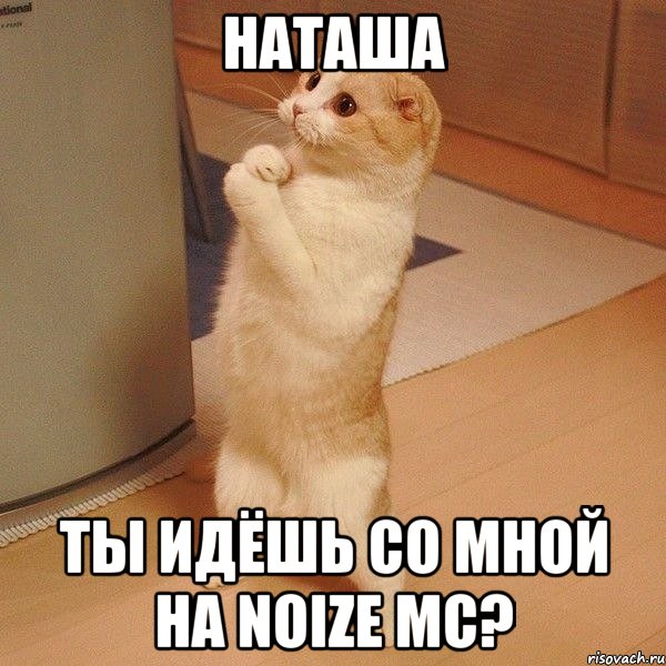 наташа ты идёшь со мной на noize mc?, Мем  котэ молится