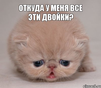 откуда у меня все эти двойки?