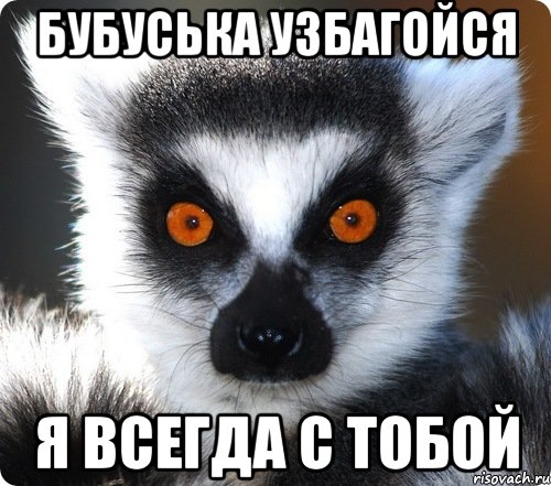 Животное говорящее узбагойся. Лемур Таня узбагойся. Оля узбагойся. Узбагойся Катерина. Тимур лемур.