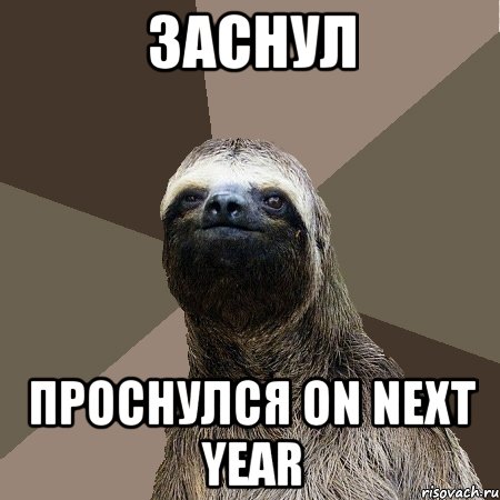 заснул проснулся on next year, Мем Ленивец2