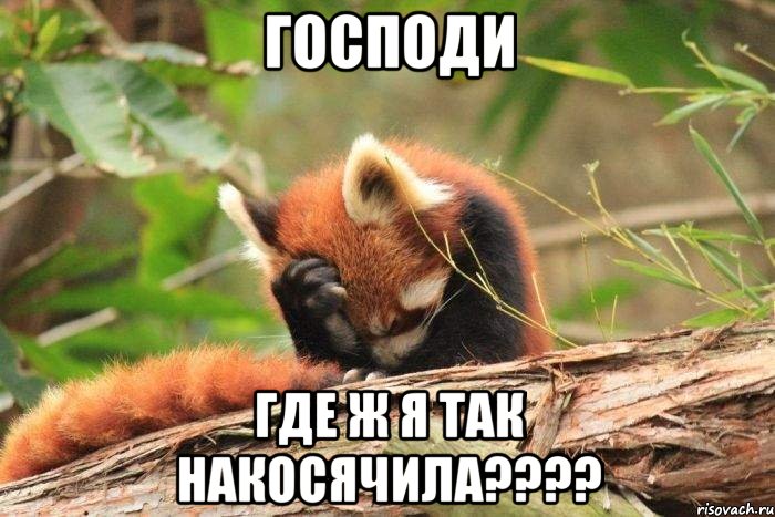 господи где ж я так накосячила???