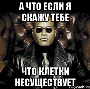 а что если я скажу тебе что клетки несуществует