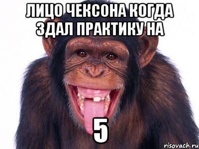 лицо чексона когда здал практику на 5