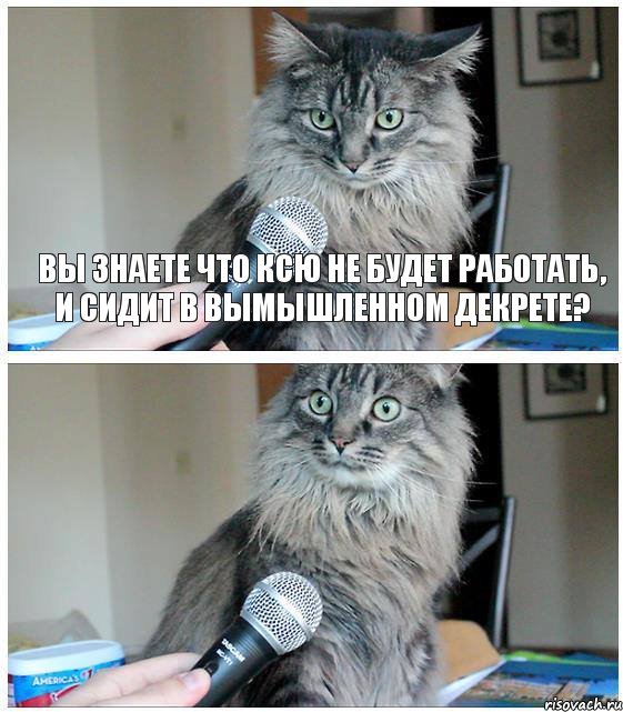 Вы знаете что Ксю не будет работать, и сидит в вымышленном декрете?, Комикс  кот с микрофоном