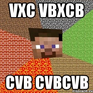 vxc vbxcb cvb cvbcvb, Мем Миникрафтер