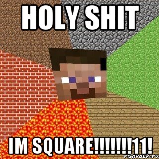 holy shit im square!!!11!, Мем Миникрафтер