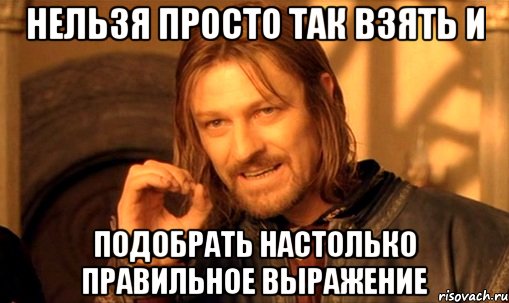 нельзя просто так взять и подобрать настолько правильное выражение, Мем Нельзя просто так взять и (Боромир мем)