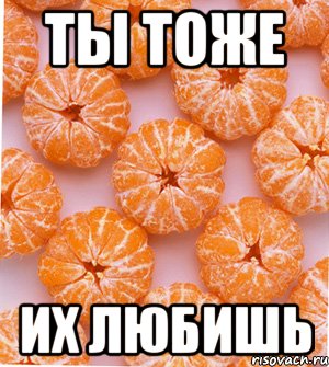 ты тоже их любишь, Мем  НОВОГОДНИЕ СЕМКИ