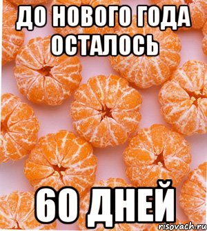 до нового года осталось 60 дней, Мем  НОВОГОДНИЕ СЕМКИ