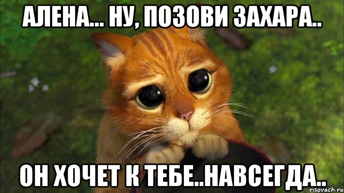 алена... ну, позови захара.. он хочет к тебе..навсегда..