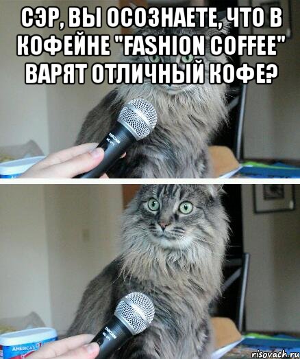 сэр, вы осознаете, что в кофейне "fashion coffee" варят отличный кофе? , Комикс  кот с микрофоном