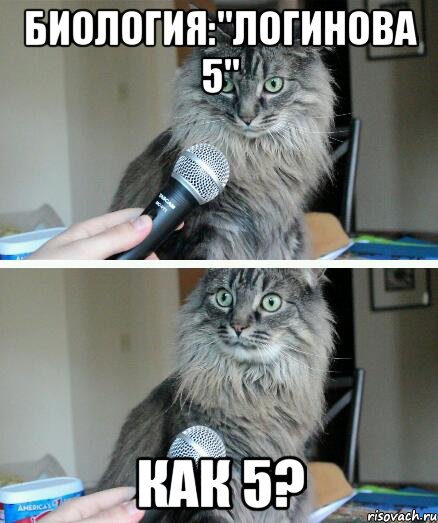 биология:"логинова 5" как 5?, Комикс  кот с микрофоном