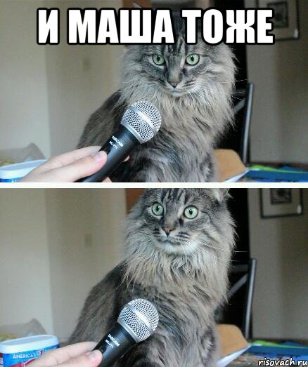 и маша тоже , Комикс  кот с микрофоном