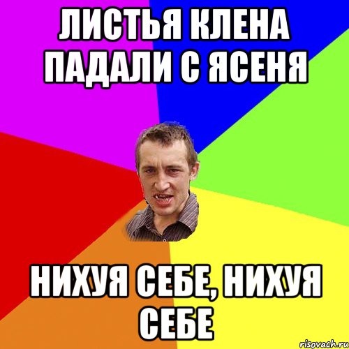 Нихуя себе