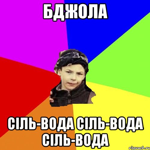 бджола сіль-вода сіль-вода сіль-вода