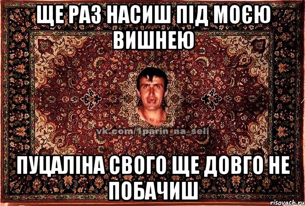 ще раз насиш під моєю вишнею пуцаліна свого ще довго не побачиш, Мем Парнь на сел