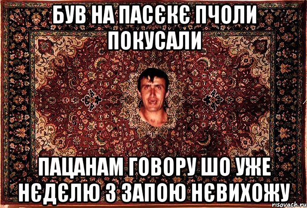 був на пасєкє пчоли покусали пацанам говору шо уже нєдєлю з запою нєвихожу, Мем Перший парнь на сел