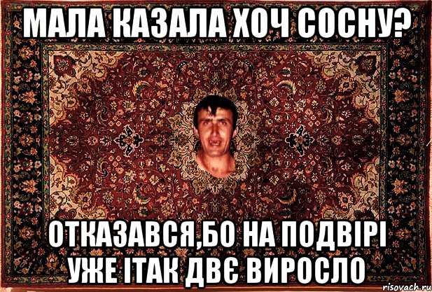 мала казала хоч сосну? отказався,бо на подвірі уже ітак двє виросло