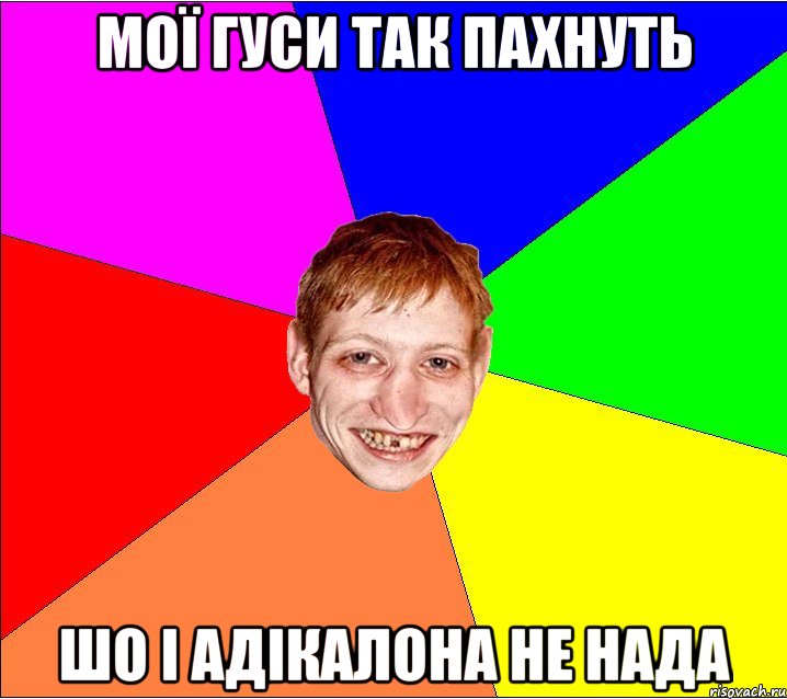 мої гуси так пахнуть шо і адікалона не нада, Мем Петро Бампер