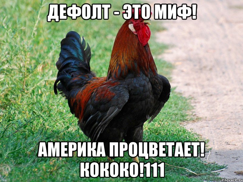 дефолт - это миф! америка процветает! кококо!111, Мем петух