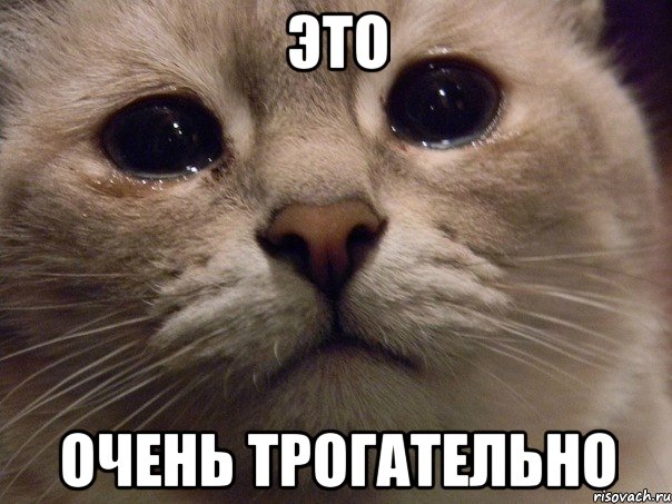 http://risovach.ru/upload/2013/10/mem/plachucshiy-kotik_33404552_orig_.jpeg