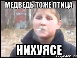 Кто ее родил 4 пьяных ежика. В лесу родилась елочка а кто ее родил 4 пьяных ежика и Гена крокодил. 4 Пьяных ежика и Гена крокодил. В лесу родилась елочка кто ее родил 4 пьяных Додика и Гена крокодил 4. В лесу родилась елочка а кто ее родил 5 пьяных ежиков и Гена крокодил.