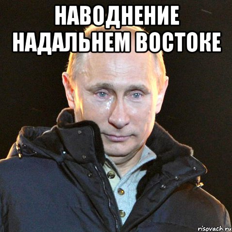 наводнение надальнем востоке , Мем Путин плачет