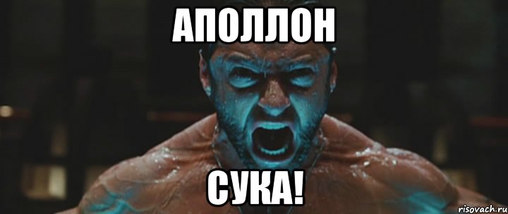 аполлон сука!, Мем росомаха