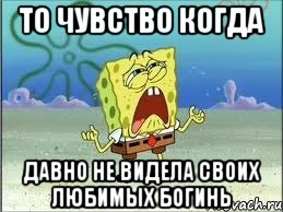 то чувство когда давно не видела своих любимых богинь, Мем Спанч Боб плачет