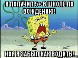 я получил 5+ в школе по вождению! ноя я забыл как водить!, Мем Спанч Боб плачет