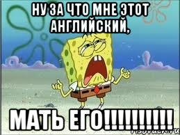 ну за что мне этот английский, мать его!!!, Мем Спанч Боб плачет