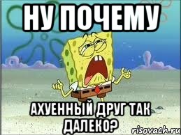 ну почему ахуенный друг так далеко?, Мем Спанч Боб плачет