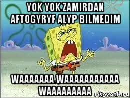 yok yok zamirdan aftogyryf alyp bilmedim waaaaaaa waaaaaaaaaaa waaaaaaaaa, Мем Спанч Боб плачет