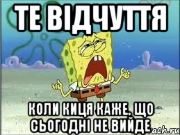 те відчуття коли киця каже, що сьогодні не вийде, Мем Спанч Боб плачет