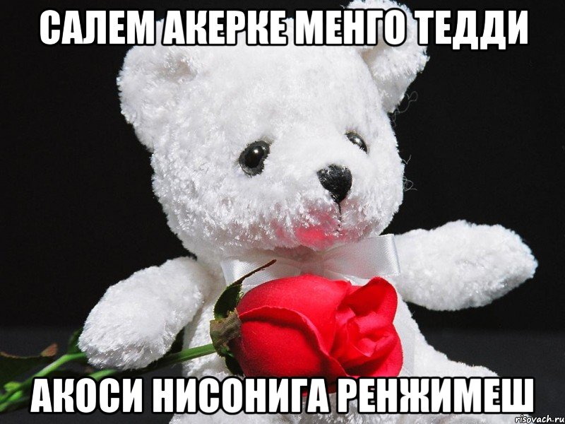 http://risovach.ru/upload/2013/10/mem/this-teddy_31614810_big_.jpeg