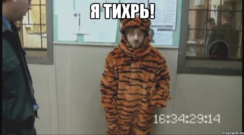 я тихрь! , Мем Бородач в костюме тигра (Наша Раша)