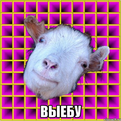  выебу